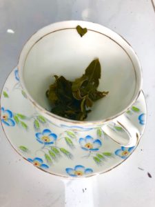 Tea Leaf Reading How to Recognize Love